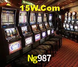 Ng987 - Support